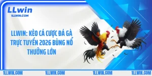 LLWIN: Kèo Cá Cược Đá Gà Trực Tuyến 2026 Bùng Nổ Thưởng Lớn