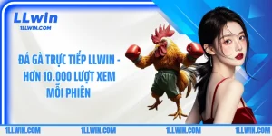 Đá Gà Trực Tiếp LLWIN - Hơn 10.000 Lượt Xem Mỗi Phiên 
